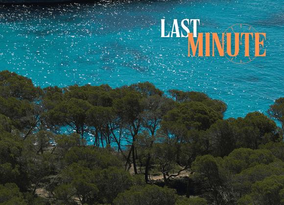JULY LAST-MINUTE DEAL: BQ AMFORA BQ Amfora Beach 4*-Adults only Playa de Palma JULY LAST-MINUTE DEAL: BQ AMFORA BQ Amfora Beach 4*-Adults only Playa de Palma