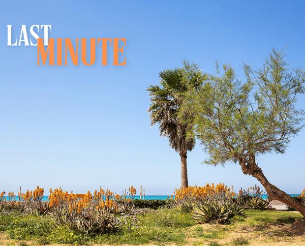 JUNE & JULY LAST-MINUTE OFFER: BQ CARMEN PLAYA BQ Carmen Playa 4*- Adults only Playa de Palma JUNE & JULY LAST-MINUTE OFFER: BQ CARMEN PLAYA BQ Carmen Playa 4*- Adults only Playa de Palma