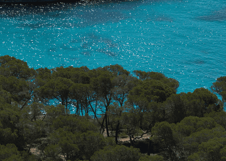 SPECIAL GETAWAY OFFER BQ Amfora Beach 4*-Adults only Playa de Palma SPECIAL GETAWAY OFFER BQ Amfora Beach 4*-Adults only Playa de Palma