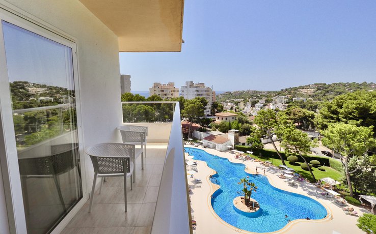 Double with swimming pool view BQ Belvedere 4* Palma de Mallorca Double with swimming pool view BQ Belvedere 4* Palma de Mallorca