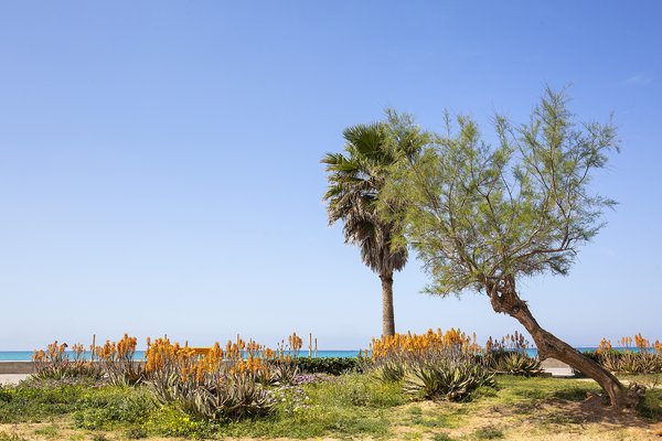 Außen BQ Carmen Playa 4*- Nur für erwachsene Playa de Palma